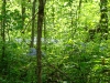 dsc01780