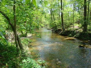 Cedar Creek Cedar Creek
